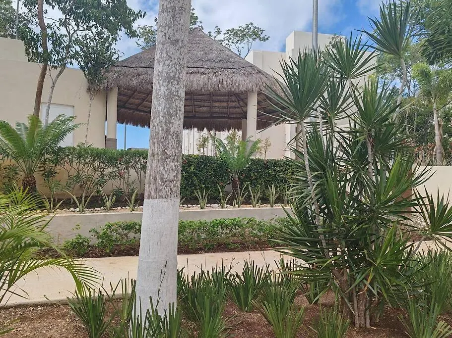 Apartment Vive La Experiencia Y Descanso Playa del Carmen Mexico