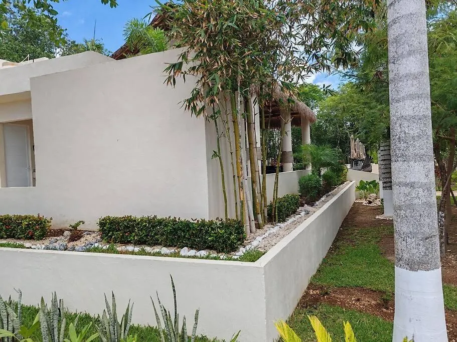 Vive La Experiencia Y Descanso Playa del Carmen Apartment