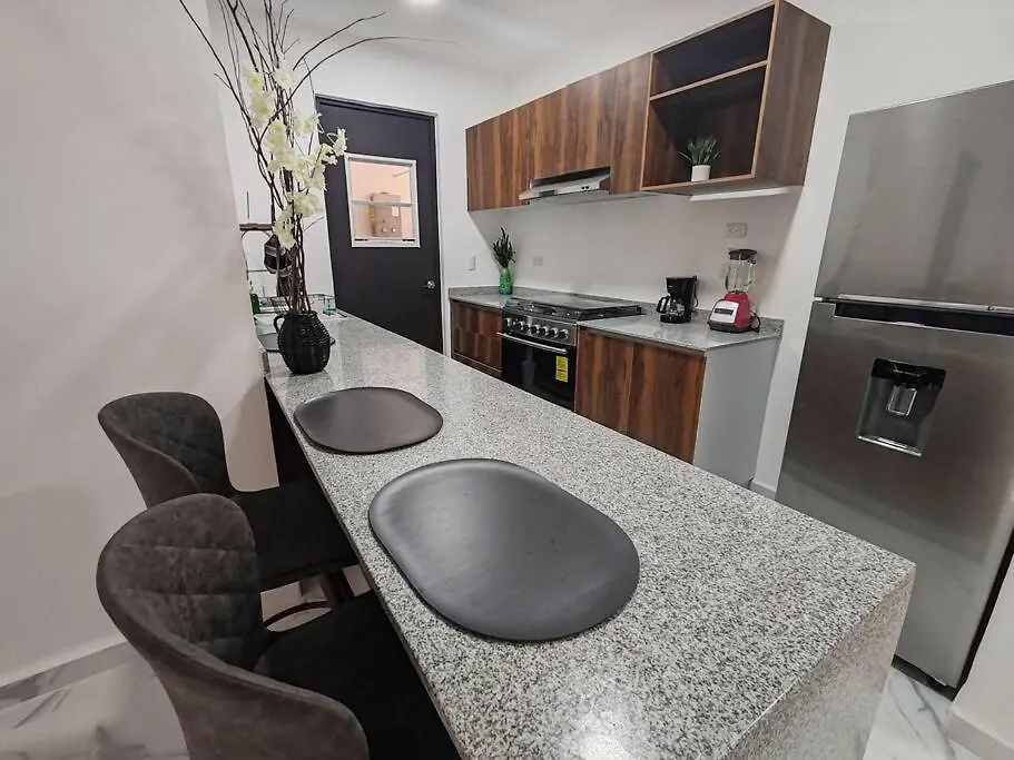 Vive La Experiencia Y Descanso Playa del Carmen Apartmán
