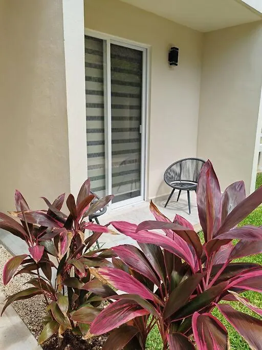 Vive La Experiencia Y Descanso Playa del Carmen Apartmán