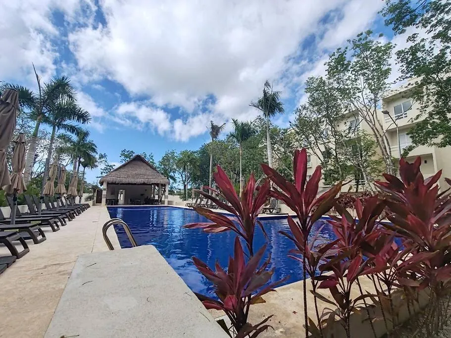 Vive La Experiencia Y Descanso Playa del Carmen